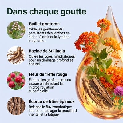 Les quatre plantes : gaillet gratteron, stillingia, trèfle rouge, frêne épineux